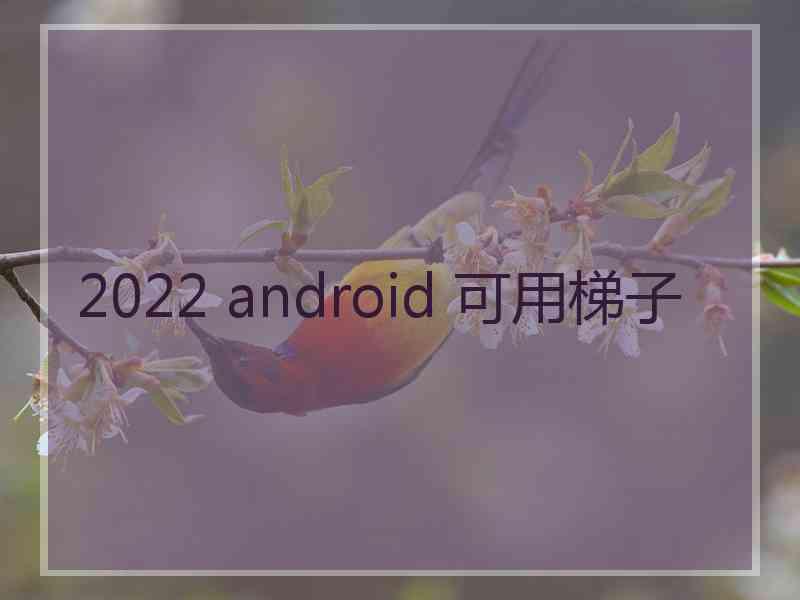 2022 android 可用梯子