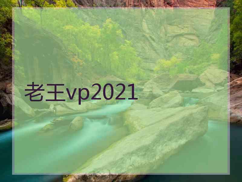 老王vp2021