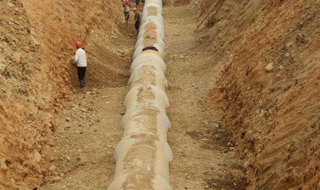 ��Ϫ�ӣ����˶Σ����۸ɹܹ���