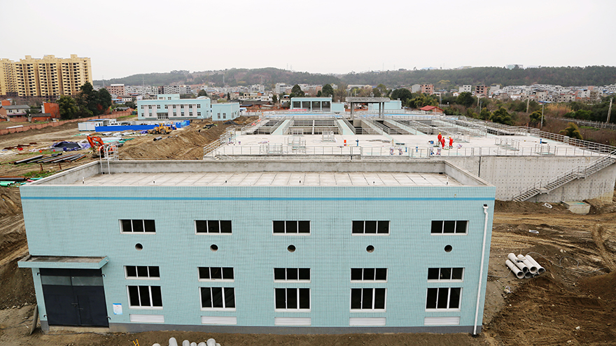 ���ǰӶ���������ˮ����������8