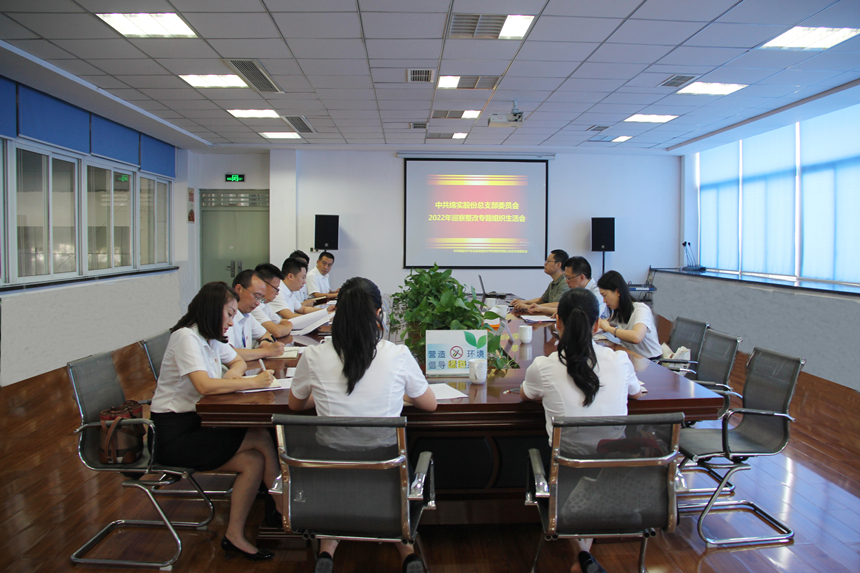 ��ʵ�ɷݵ���֧�ٿ�Ѳ������ר����֯�����